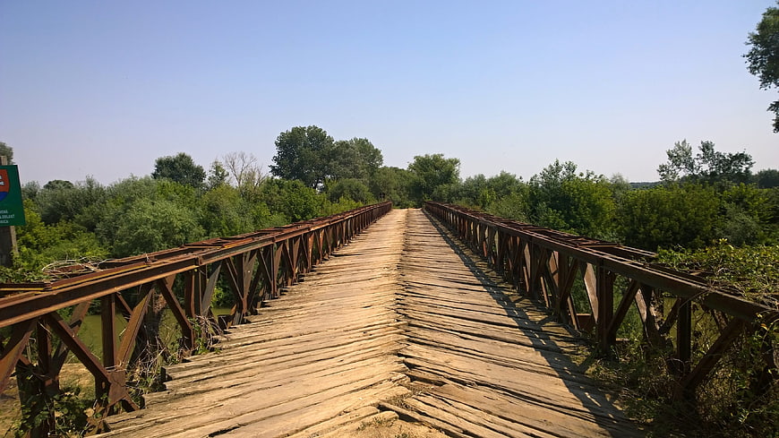 Old wooden bridge with rusty railings in summer forest