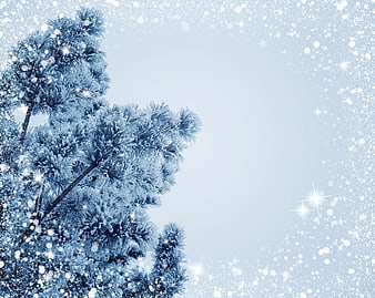 Frosty Pine Tree Branches with Snow and Sparkles