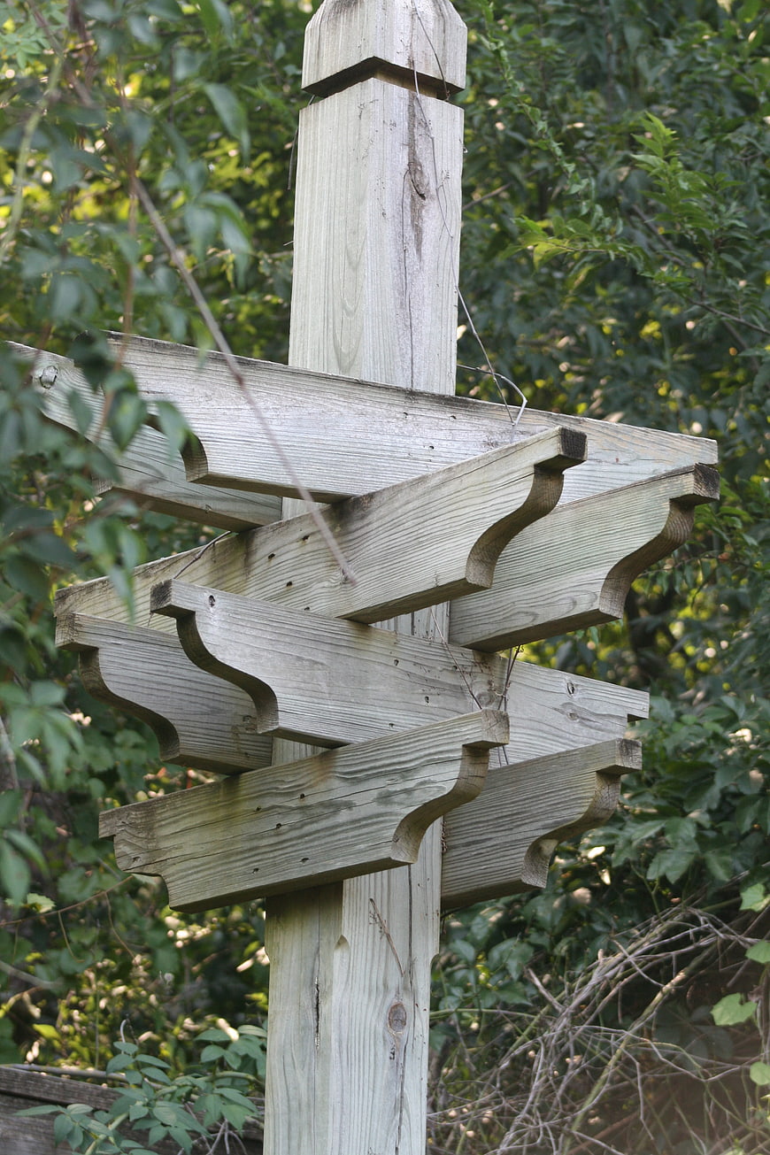 Weathered Wooden Signpost in Green Forest