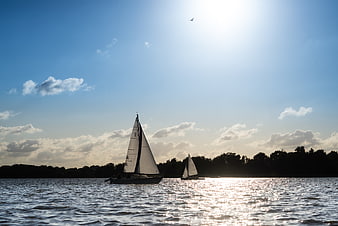 Sailboats on a Lake with Sunlight Reflections