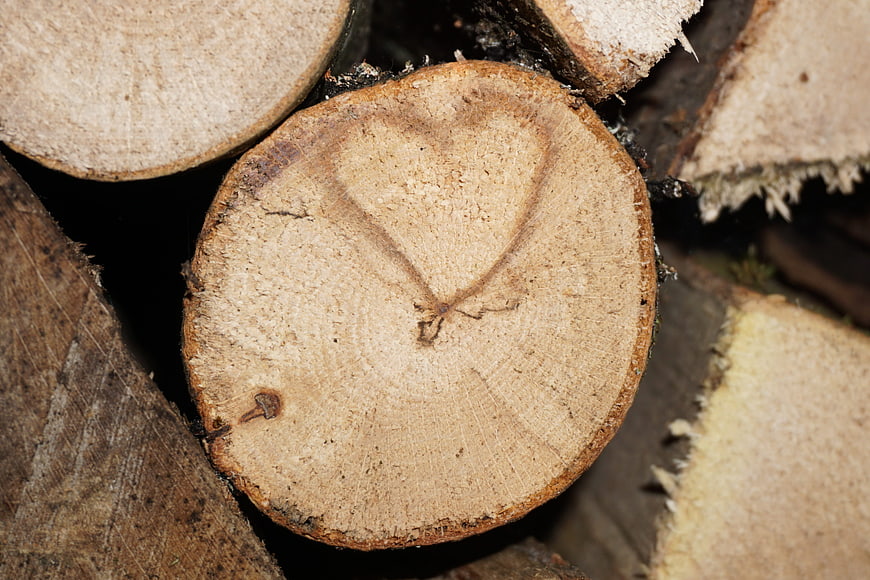 Heart shape carved into cross-section of cut firewood log