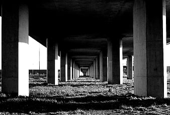 Black and white perspective of concrete pillars under a bridge