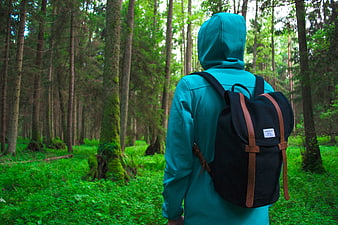 Hiker in Teal Hoodie Walking Through Green Forest