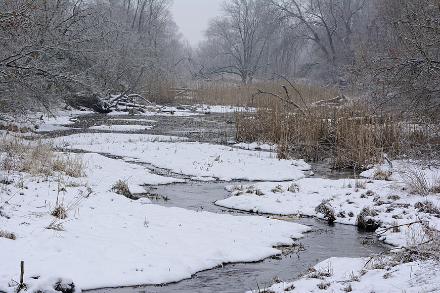 Snowy winter stream winding through frosty forest landscape