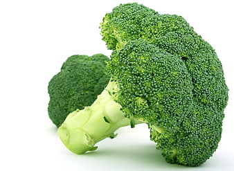 Fresh Raw Broccoli Head Isolated on White Background