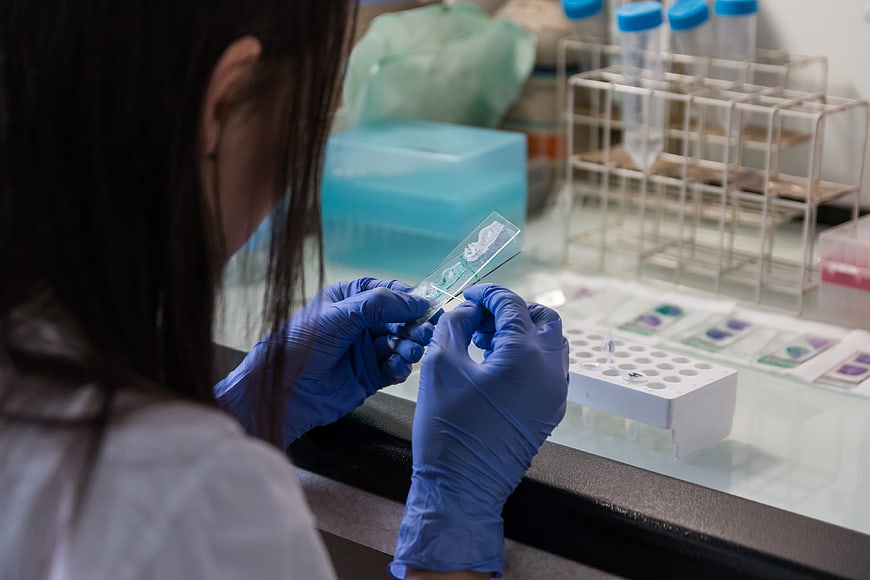 Scientist examining microscope slide in laboratory