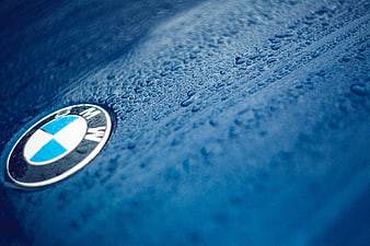 Close-up of BMW logo on wet blue car hood with raindrops
