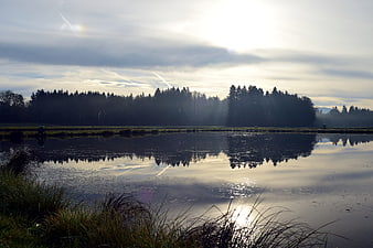Serene Lake Reflection with Forest Silhouette at Sunrise