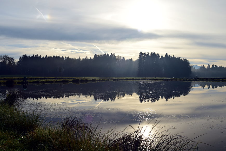 Serene Lake Reflection with Forest Silhouette at Sunrise