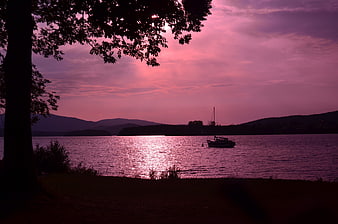 Serene Lake Sunset with Silhouetted Boat and Tree