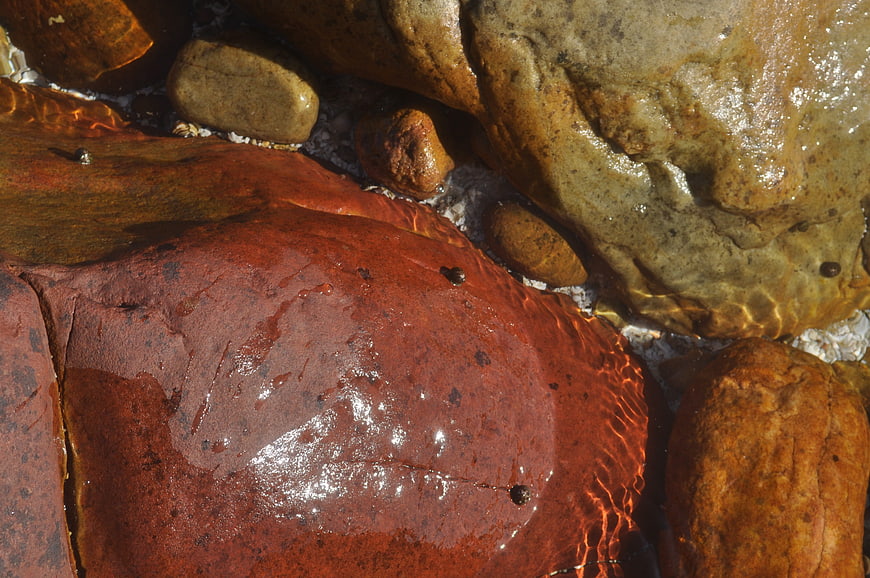 Close-up of wet red and brown river stones in clear water
