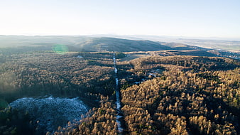 Aerial View of Snowy Forest and Hills in Winter Sunlight