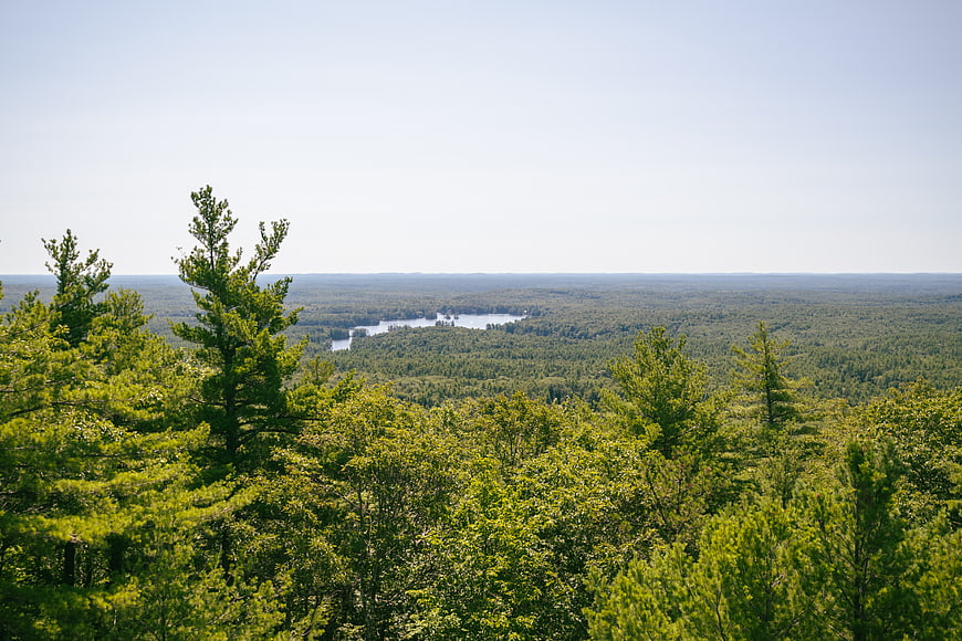 Aerial View of Green Forest and Lake on Sunny Day