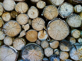 Close-up of stacked firewood logs with natural wood grain texture