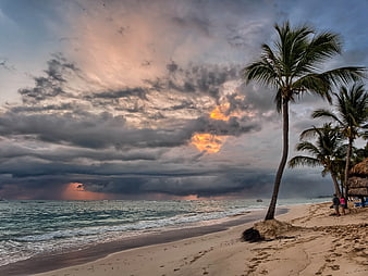 Dramatic sunset over tropical beach with palm trees and ocean waves