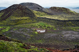 Vibrant Green Moss Covering Volcanic Hills in Iceland