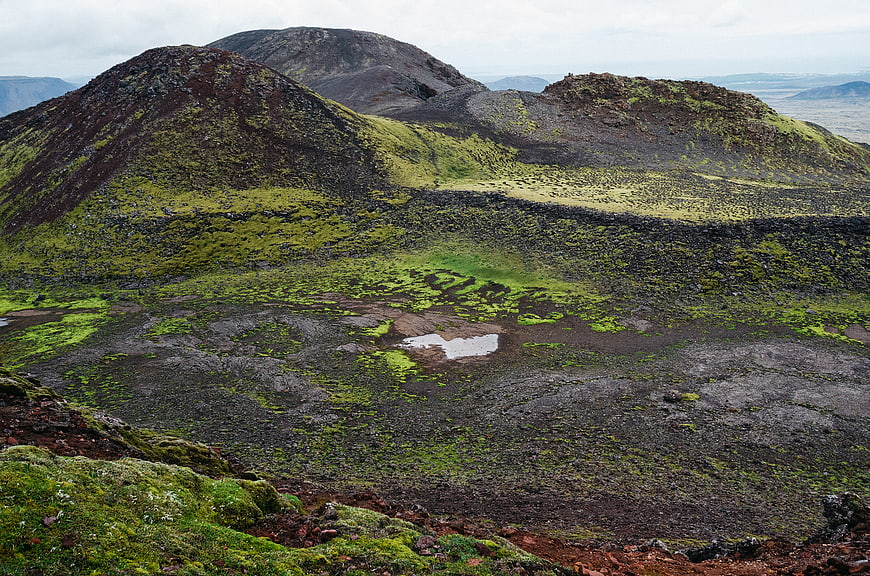 Vibrant Green Moss Covering Volcanic Hills in Iceland