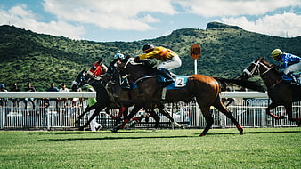 Horse Racing Action on Grassy Track with Mountain Background