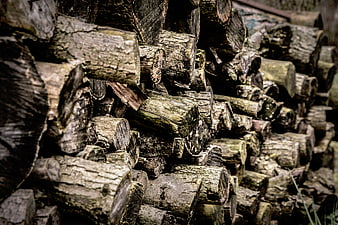 Stacked firewood logs with textured bark and natural grain