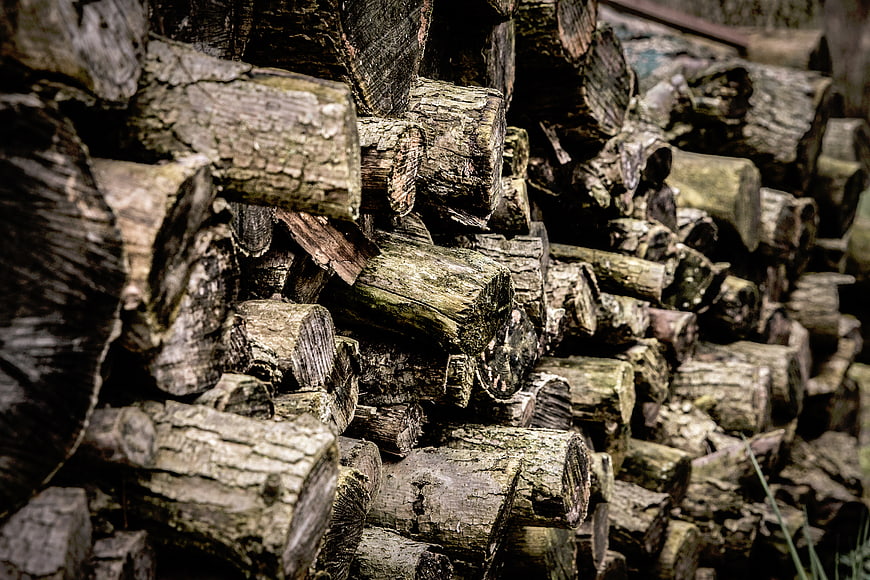 Stacked firewood logs with textured bark and natural grain