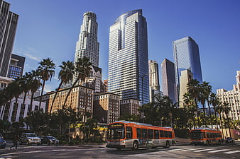 Los Angeles Downtown Skyline with Metro Bus and Palm Trees