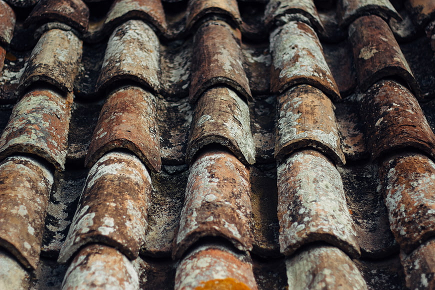 Close-up of weathered terracotta roof tiles with lichen texture