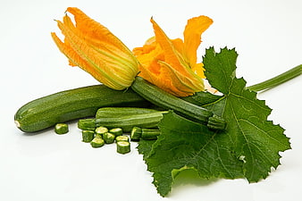 Fresh Zucchini with Yellow Flowers and Leaves on White