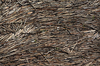 Textured Background of Burnt Bamboo Sticks and Charred Wood