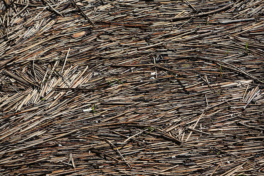 Textured Background of Burnt Bamboo Sticks and Charred Wood