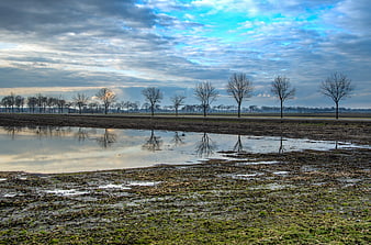 Winter landscape with bare trees reflected in a muddy puddle