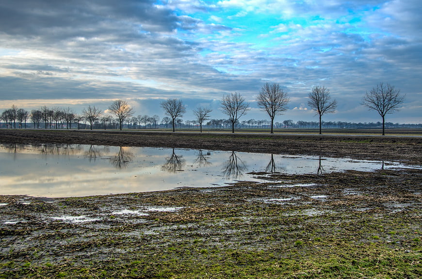 Winter landscape with bare trees reflected in a muddy puddle