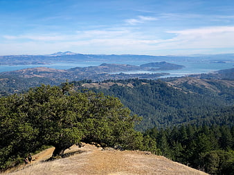 Scenic California landscape with hikers on a hill overlooking a bay
