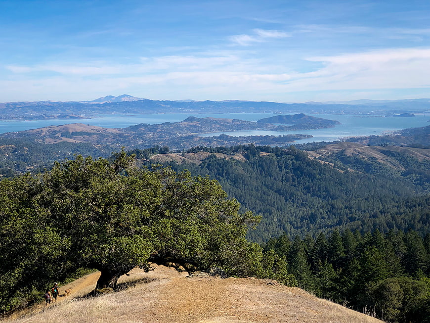 Scenic California landscape with hikers on a hill overlooking a bay