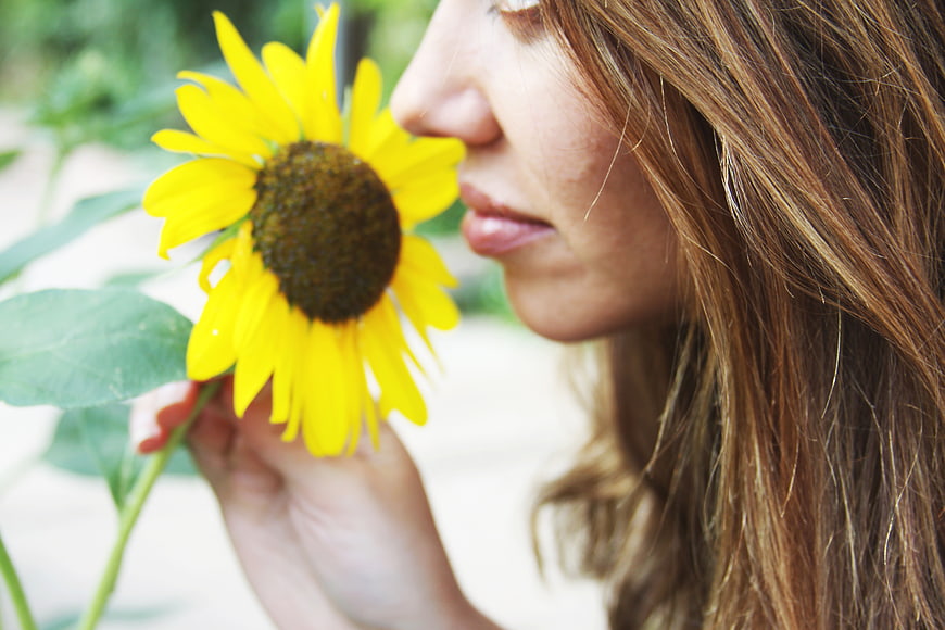 Close-up of Woman Smelling a Bright Yellow Sunflower