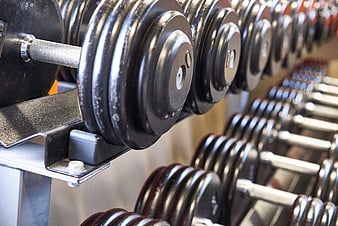 Close-up of black dumbbells on a gym rack