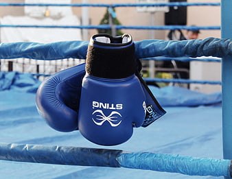 Blue Sting Boxing Gloves Hanging on Ring Ropes