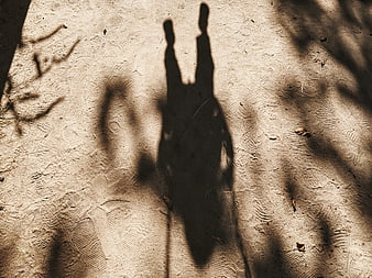 Shadow of person on sandy beach with swing silhouette