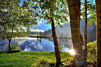 Sunrise Lake Landscape With Birch Trees And Misty Reflections