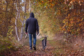 Man walking dog on autumn forest path
