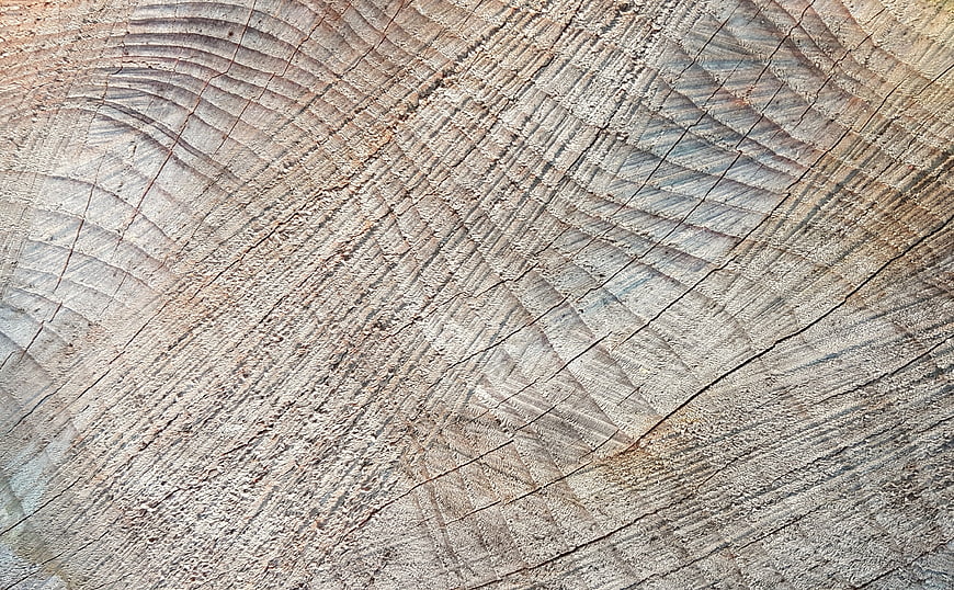 Close-up texture of sawn wood with visible annual rings and grain