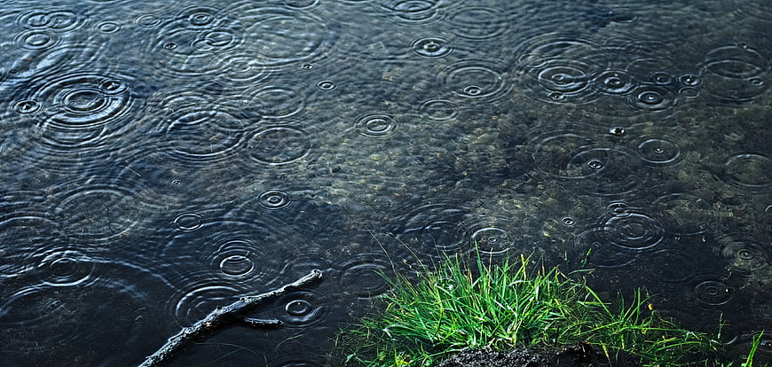 Raindrops creating ripples in a dark puddle with grass