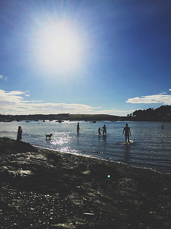 Silhouettes of People and Dog on Rocky Beach at Sunset