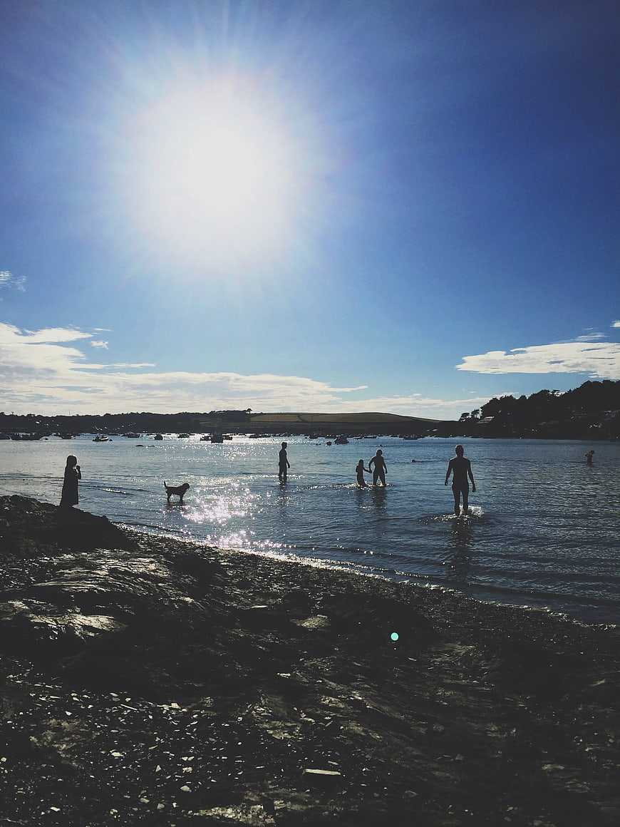 Silhouettes of People and Dog on Rocky Beach at Sunset