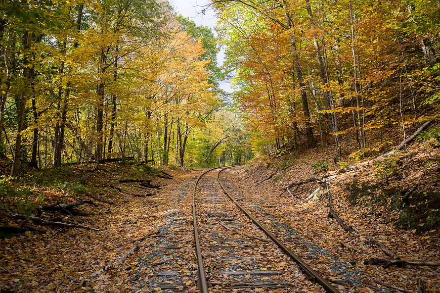 Abandoned Railway Tracks Winding Through Autumn Forest