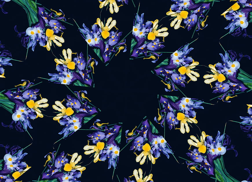 Kaleidoscope pattern of purple and yellow irises on dark background