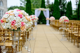 Outdoor Wedding Aisle with Floral Arrangements and Gold Chairs