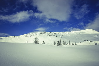 Snowy Mountain Landscape with Blue Sky and Pine Trees