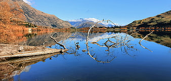 Serene Autumn Lake with Mountain Reflections and Fallen Tree