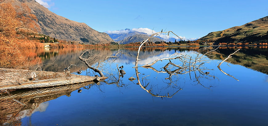 Serene Autumn Lake with Mountain Reflections and Fallen Tree