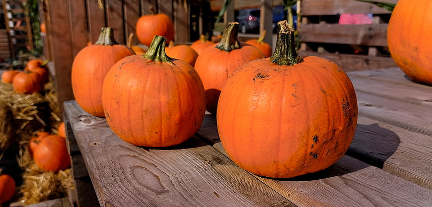 Fresh Orange Pumpkins on Wooden Table at Autumn Farm Stand